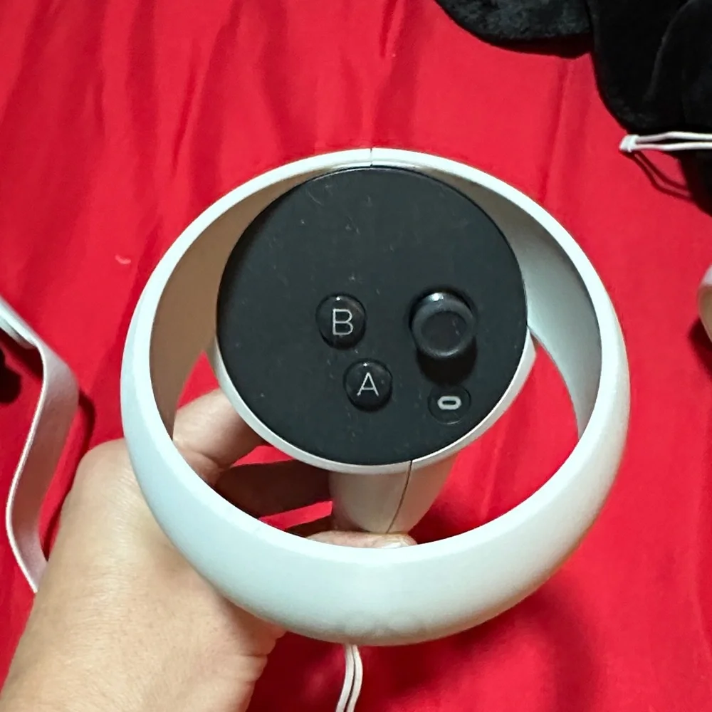 Oculus VR Headset with White Controllers